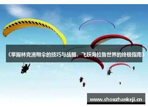 《掌握林克滑翔伞的技巧与战略，飞跃海拉鲁世界的终极指南》